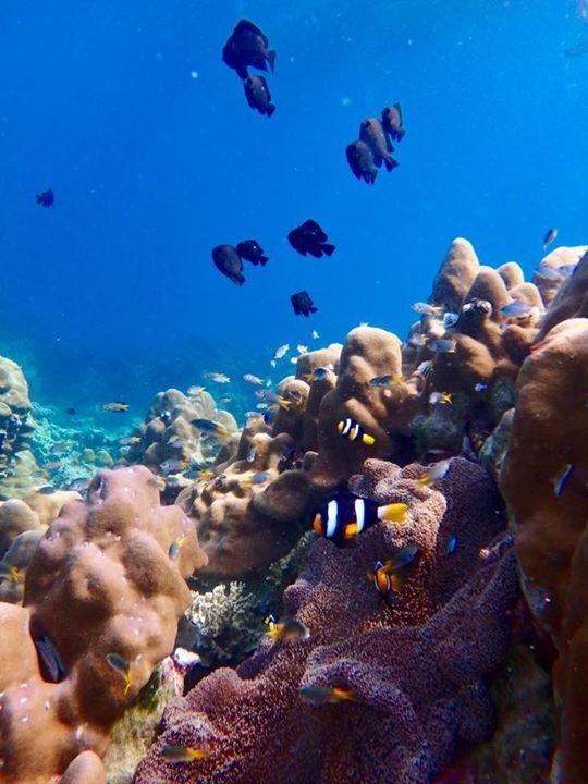 Mookies Bungalows ムック島 エクステリア 写真