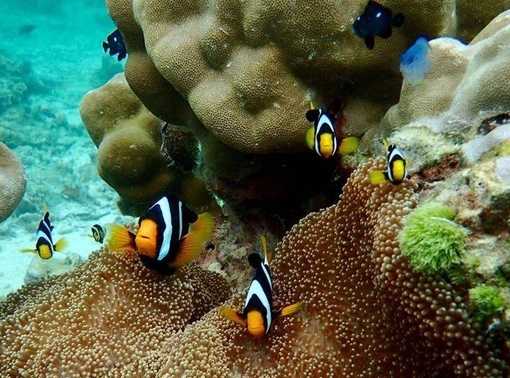 Mookies Bungalows ムック島 エクステリア 写真